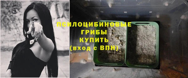 тгк Мегион