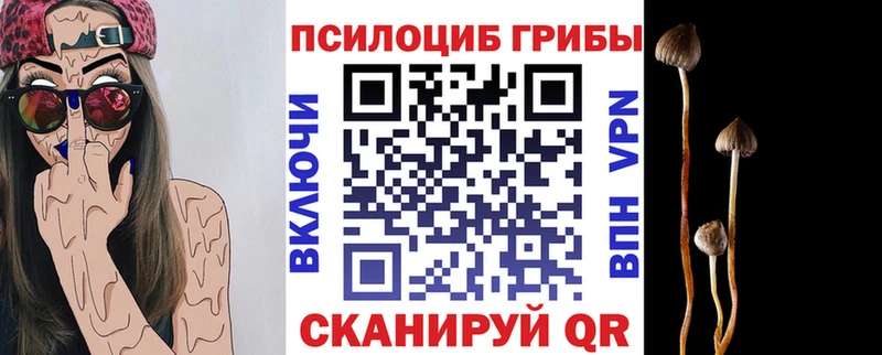 где купить наркоту  Нягань  Галлюциногенные грибы Psilocybe 