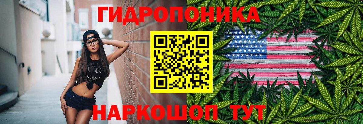 Каннабис Amnesia  Нягань  МАРИХУАНА семена  Марихуана Ganja  Бошки марихуана Ganja 